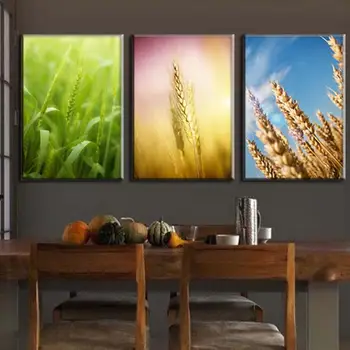 2017 3 Pcs Art Canvas Wheat Growth 3 Pieces Wall Art Modern Canvas Painting Top Home Decoration Canvas Prints
2017 3 Pcs Art Canvas Wheat Growth 3 Pieces Wall Art Modern Canvas Painting Top Home Decoration Canvas Prints
