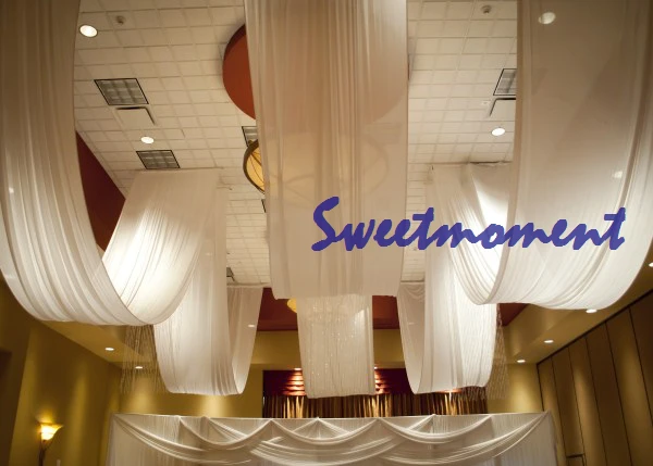 White Luxury Wedding Roof Fabric 10m(33ft) long x 1.4m(55'')/pc beatiful Canopy Curtain
White Luxury Wedding Roof Fabric 10m(33ft) long x 1.4m(55'')/pc beatiful Canopy Curtain