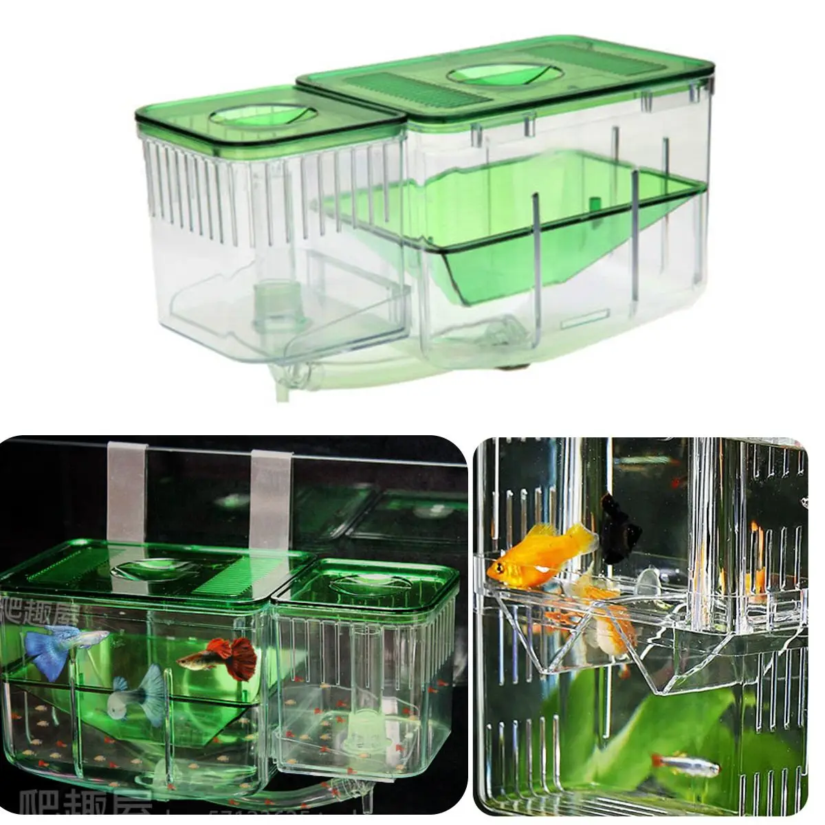 Aquarium Tank Incubator Fry Baby Fish Isolation Box Spawn Hatchery Fish Tank Automatic Circulating Hatchery Baby Fish Breed
Aquarium Tank Incubator Fry Baby Fish Isolation Box Spawn Hatchery Fish Tank Automatic Circulating Hatchery Baby Fish Breed