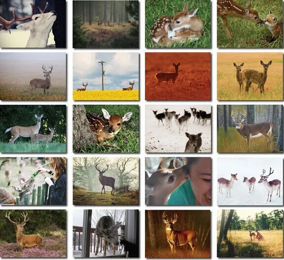 32Pcs/lot New Vintage Lovely Deer Postcard / Animal Nature Greeting Card / Christmas Birthday Gift Card
32Pcs/lot New Vintage Lovely Deer Postcard / Animal Nature Greeting Card / Christmas Birthday Gift Card