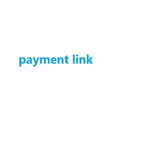 payment link payment link