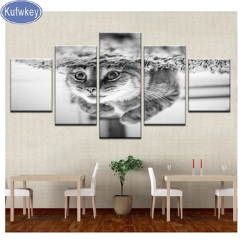 Diamond Painting"cat"New Arrivals Pictures With Rhinestones animal Diamond Mosaic Full square Lay out black white Home Decor 5pc
Diamond Painting"cat"New Arrivals Pictures With Rhinestones animal Diamond Mosaic Full square Lay out black white Home Decor 5pc