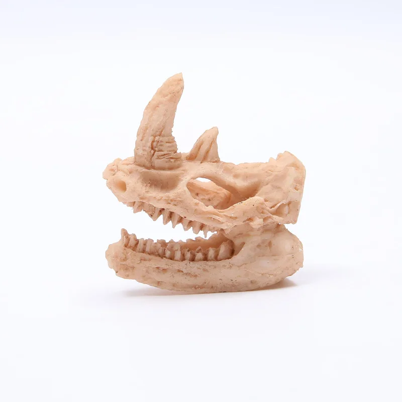 Resin Mini Rhino Skull Sculpture Ornaments Fish Tank Landscape Decor Craft Skull Reptile Evasion Desk Miniature Gifts Home Decor
Resin Mini Rhino Skull Sculpture Ornaments Fish Tank Landscape Decor Craft Skull Reptile Evasion Desk Miniature Gifts Home Decor