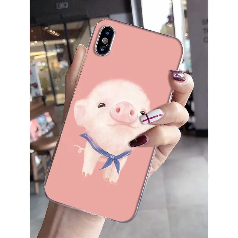 Cat Cartoon Cute Mouse Pig Cats Dog