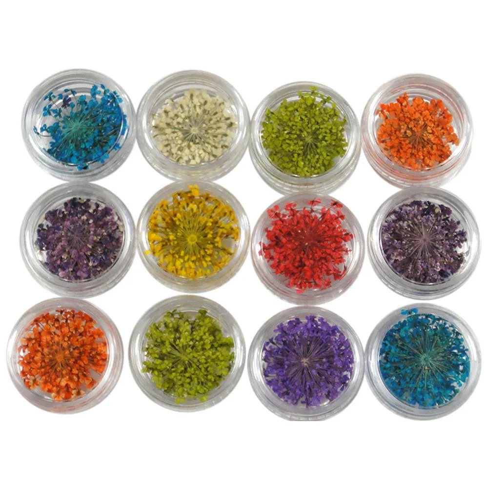 12 Colors 3D Decoration Real Dry Dried Flower For UV Gel Acrylic Nail Art Tips 60Pcs
12 Colors 3D Decoration Real Dry Dried Flower For UV Gel Acrylic Nail Art Tips 60Pcs