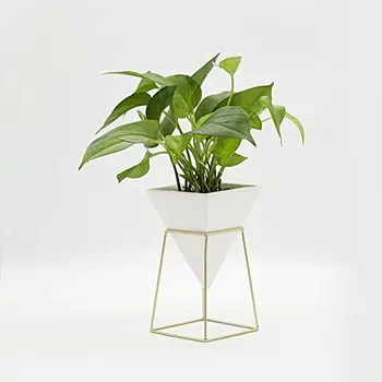 White Ceramic Flowerpots With Gold Metal Shelf Rack For Green Succulent Plants Bonsai Pen Container Desktop Decorations
White Ceramic Flowerpots With Gold Metal Shelf Rack For Green Succulent Plants Bonsai Pen Container Desktop Decorations