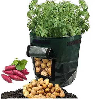 PE Cloth DIY Vegetable Plant Grow Bag Potato Grow Planter Tomato Planting Container Bag Thicken Garden Pot Garden Supplies
PE Cloth DIY Vegetable Plant Grow Bag Potato Grow Planter Tomato Planting Container Bag Thicken Garden Pot Garden Supplies