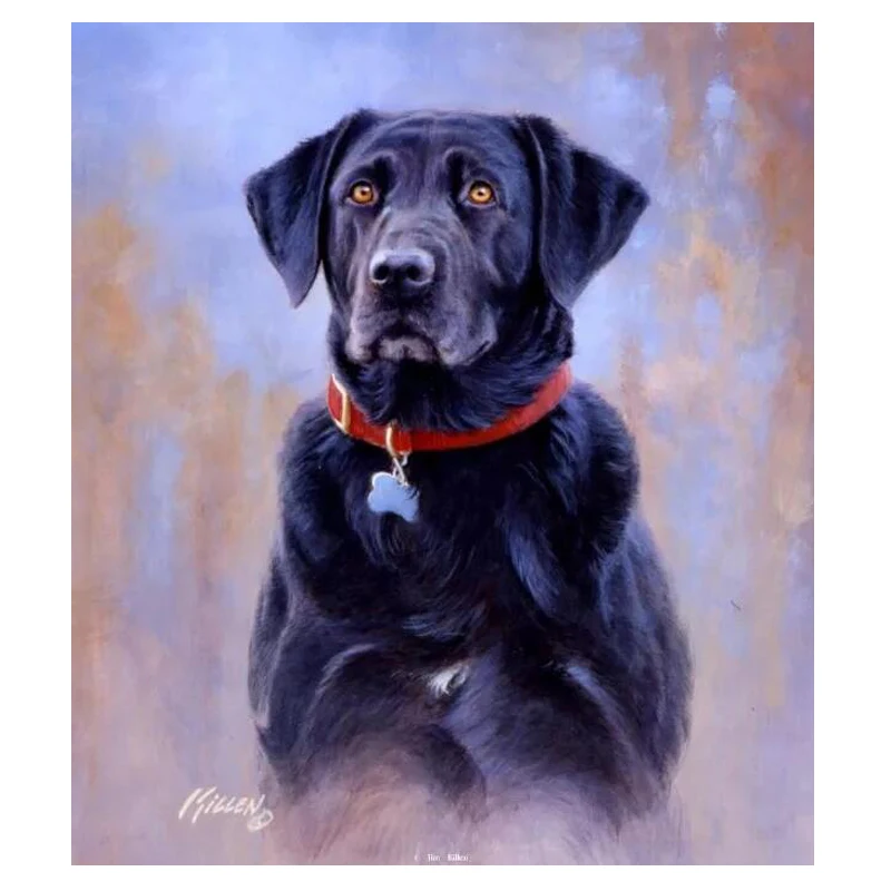 5D DIY Diamond Painting labrador dog Full Square Rhinestone Drill Diamond Embroidery Mosaic Home Decor wholesale C354
5D DIY Diamond Painting labrador dog Full Square Rhinestone Drill Diamond Embroidery Mosaic Home Decor wholesale C354