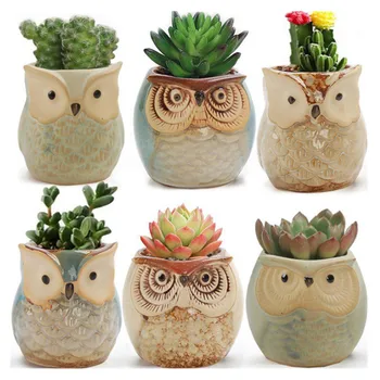 

6 Pcs/Set Succulents Flowerpot Lovely Cartoon Owl Animal Shape Plants Porcelain Floral Pot Desktop Ornament Home Garden Decor