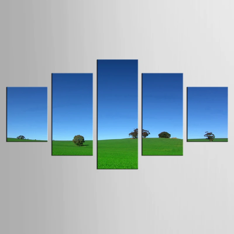 5 Pieces Grassland Landscape Wall Painting Home Decor Blue Sky White Cloud Canvas Painting Diningroom BedroomArtwork
5 Pieces Grassland Landscape Wall Painting Home Decor Blue Sky White Cloud Canvas Painting Diningroom BedroomArtwork