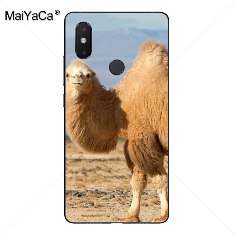 Милый чехол для телефона MaiYaCa Camels in the desert xiaomi mi 8 se 6 note2 note3 redmi 5 plus note4 5|Бамперы| |