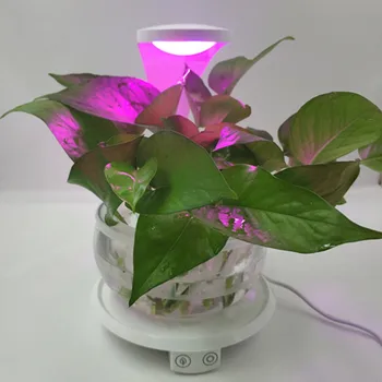 HZFCEW LED Smart Touch Plant Growth Lighting, Flowers and Gardening Lights,Night Light, and Plants Fill Light, Office Lamp
HZFCEW LED Smart Touch Plant Growth Lighting, Flowers and Gardening Lights,Night Light, and Plants Fill Light, Office Lamp