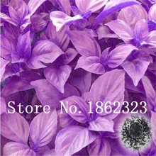 Penjualan! 300 Pcs/bag Besar Daun Basil Bonsai Hijau Segar Ocimum Sayuran Rempah-rempah Ramuan Aromatik Tanaman Bonsai Taman Plants Bunga(China)