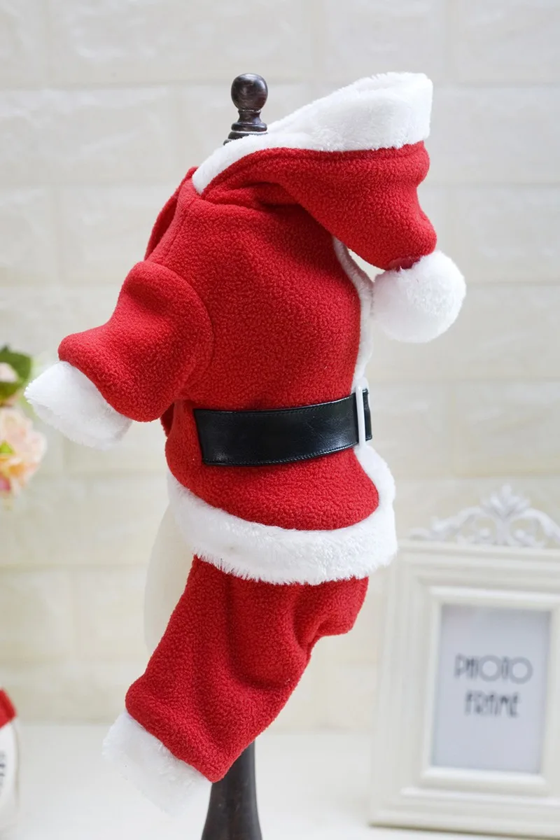 3492425522_109569990