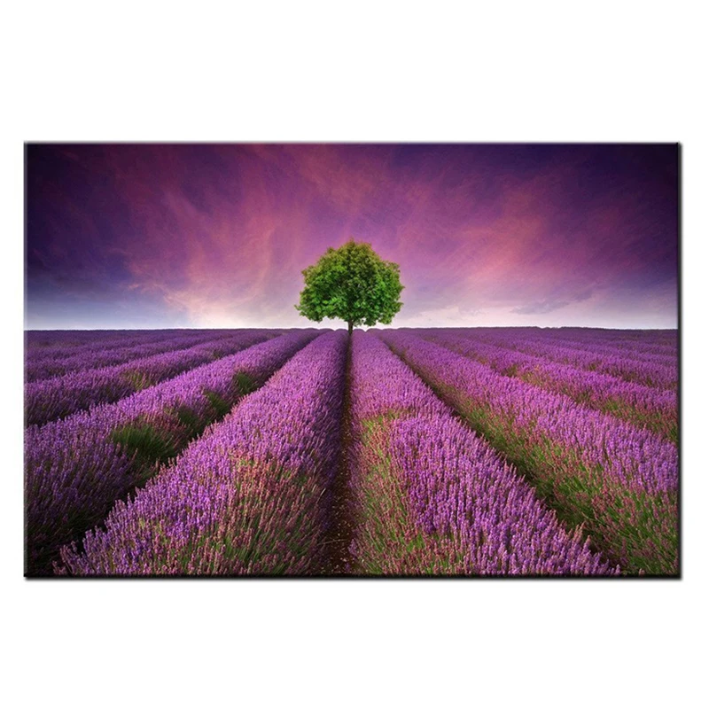 Flower Field Purple Lavender Diamond Painting Full Round Diamond Embroidery Cross Stitch Handmade Needlework Wall Sticker
Flower Field Purple Lavender Diamond Painting Full Round Diamond Embroidery Cross Stitch Handmade Needlework Wall Sticker