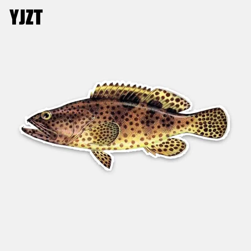 YJZT 16CM*6.6CM Personality Animal Black Spot Fish PVC Car Sticker Decal Waterproof 5-0305
YJZT 16CM*6.6CM Personality Animal Black Spot Fish PVC Car Sticker Decal Waterproof 5-0305