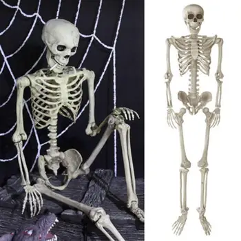 1.85m Jointed Skeleton Decoration Party Jointed Halloween Skeleton for Party Haunt House Prank Spooky Props
1.85m Jointed Skeleton Decoration Party Jointed Halloween Skeleton for Party Haunt House Prank Spooky Props