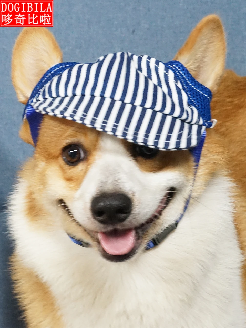 Pet hat selling cute photo dog baseball cap small medium large dog cokekila brado Teddy sun protective hat
Pet hat selling cute photo dog baseball cap small medium large dog cokekila brado Teddy sun protective hat