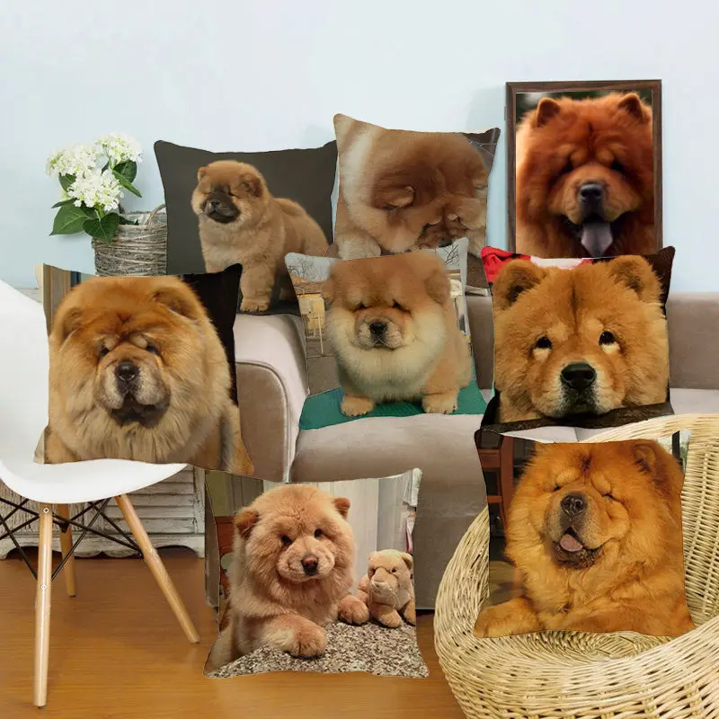 XUNYU Cute Pet Yellow Chow Chow Dog Cushion Cover Square Cushion Covers Home Decor Throw Pillowcases Linen Pillowcase B0053
XUNYU Cute Pet Yellow Chow Chow Dog Cushion Cover Square Cushion Covers Home Decor Throw Pillowcases Linen Pillowcase B0053