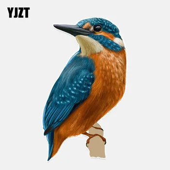 YJZT 9.3*15.9CM Coolest A humming Bird Flight PVC Decor Car Sticker High Quality Colored Personalized 11A0220
YJZT 9.3*15.9CM Coolest A humming Bird Flight PVC Decor Car Sticker High Quality Colored Personalized 11A0220