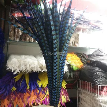 Free shipping 50pcs beautiful sky blue copper feathers long 36-40 inches / 90-100 cm decorative diy collection stage show
Free shipping 50pcs beautiful sky blue copper feathers long 36-40 inches / 90-100 cm decorative diy collection stage show