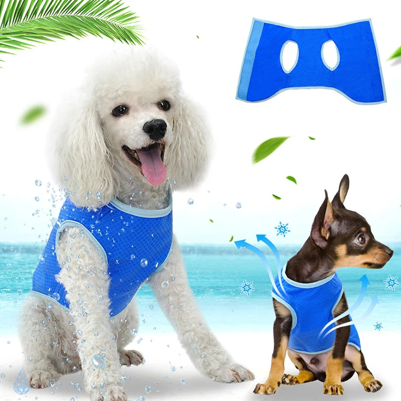 Summer Dog Cooling Vest Harness Pet Mesh Reflective Vest Harnesses Quick Release Hot For Small Pets
Summer Dog Cooling Vest Harness Pet Mesh Reflective Vest Harnesses Quick Release Hot For Small Pets