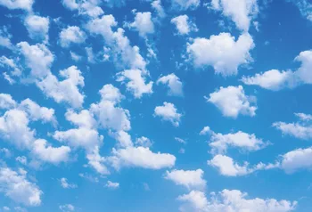 Laeacco Blue Sky White Clouds Baby Portrait Photography Backgrounds Customized Photographic Backdrops For Photo Studio
Laeacco Blue Sky White Clouds Baby Portrait Photography Backgrounds Customized Photographic Backdrops For Photo Studio