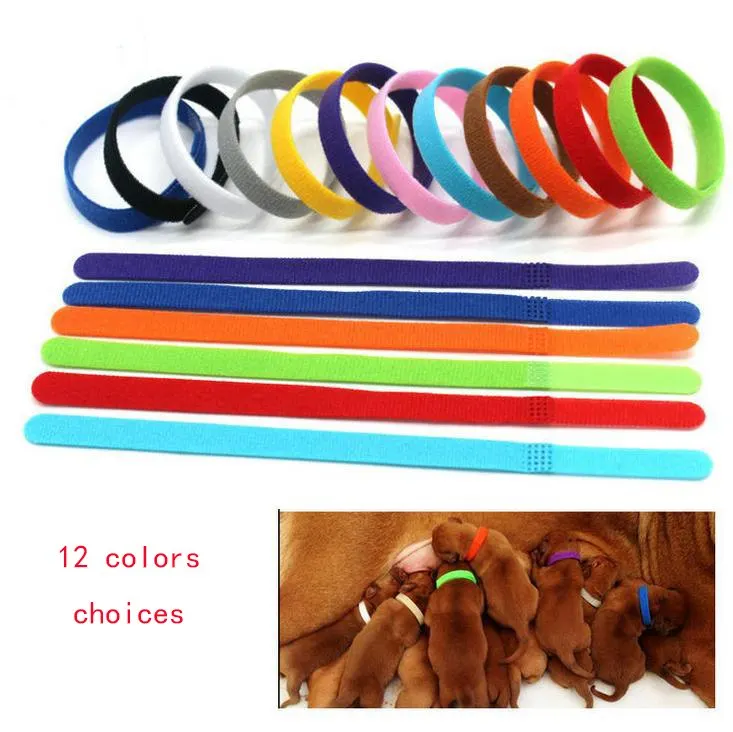 12 Pcs/Set Adjustable Nylon Small Pet Dog Collars Puppy Newborn Pets Identify Collars Kitten Necklace Whelping Puppy Collars
12 Pcs/Set Adjustable Nylon Small Pet Dog Collars Puppy Newborn Pets Identify Collars Kitten Necklace Whelping Puppy Collars