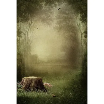 Vinyl Photography Background Fairy Tale Forest Nature Tree Stump Children newborn Fotografia Backgrounds for Photo Studio
Vinyl Photography Background Fairy Tale Forest Nature Tree Stump Children newborn Fotografia Backgrounds for Photo Studio