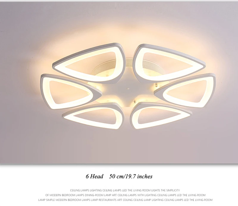 modern ceiling light (31)