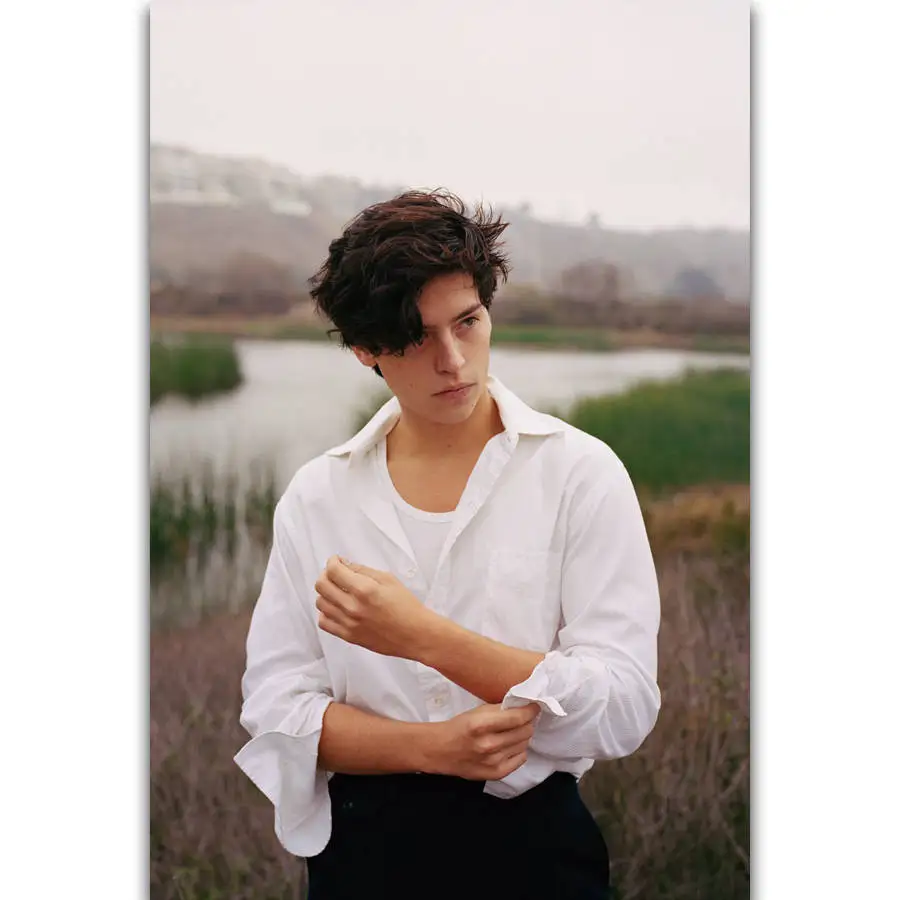S1101 Cole Sprouse Actor Movie Star Wall Art Painting Print On Silk Canvas Poster Home Decoration
S1101 Cole Sprouse Actor Movie Star Wall Art Painting Print On Silk Canvas Poster Home Decoration