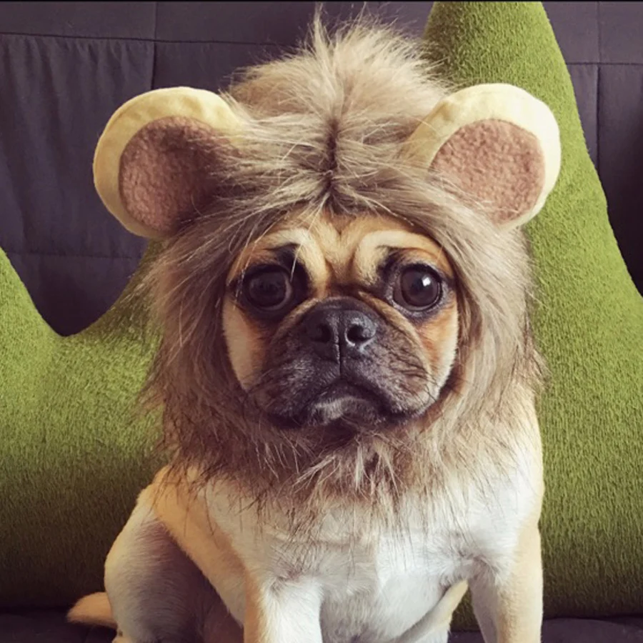 Free Shipping Lion Head Hat Lion Mane Wig Pet headgear cap Cosplay Dress Funny Cute hat
Free Shipping Lion Head Hat Lion Mane Wig Pet headgear cap Cosplay Dress Funny Cute hat