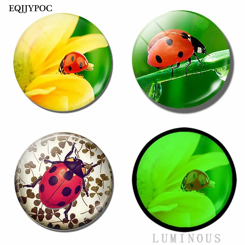 Glass Luminous Ladybug and Flowers Fridge Magnets for Refrigerator for Fridge Magnetic Stickers Cute Home Decor
Glass Luminous Ladybug and Flowers Fridge Magnets for Refrigerator for Fridge Magnetic Stickers Cute Home Decor