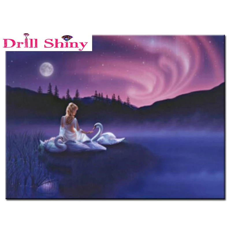 Full drill diamond embroidery 3d diamond cross stitch fashion diamond mosaic pictures of rhinestones scenic moon beauty swans
Full drill diamond embroidery 3d diamond cross stitch fashion diamond mosaic pictures of rhinestones scenic moon beauty swans
