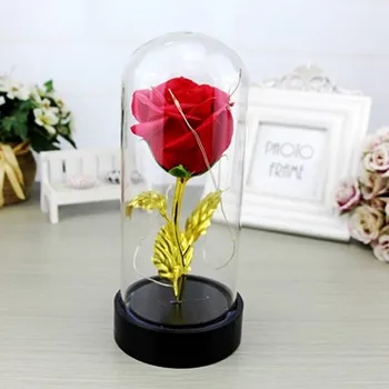 5 Colors LED Beauty Rose and Beast Battery Powered Red Flower String Light Desk Lamp Romantic Valentine's Day Birthday Gifts
5 Colors LED Beauty Rose and Beast Battery Powered Red Flower String Light Desk Lamp Romantic Valentine's Day Birthday Gifts