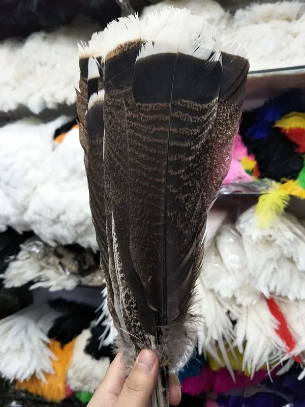 Wholesale perfect 100pcs high quality scare natural Bald Eagle feathers 25-30cm/10-12inch Decorative diy Clothing accessories
Wholesale perfect 100pcs high quality scare natural Bald Eagle feathers 25-30cm/10-12inch Decorative diy Clothing accessories