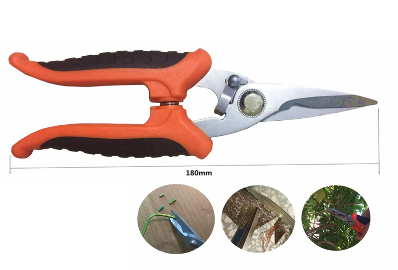 4152431488_1762696821