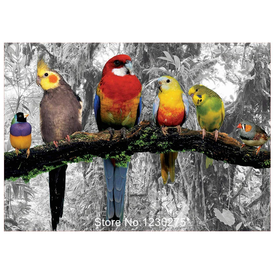 mosaic full embroidery parrot animals 5d diy diamond painting birds rhinestone embroidery square/round drill wall decor JX256
mosaic full embroidery parrot animals 5d diy diamond painting birds rhinestone embroidery square/round drill wall decor JX256