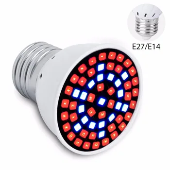 E27 LED Grow Light Full Spectrum LED Lamp For Plants Light E14 220V MR16 Grow Tent Phytolamp GU10 LED Greenhouse Phyto Lamps B22
E27 LED Grow Light Full Spectrum LED Lamp For Plants Light E14 220V MR16 Grow Tent Phytolamp GU10 LED Greenhouse Phyto Lamps B22