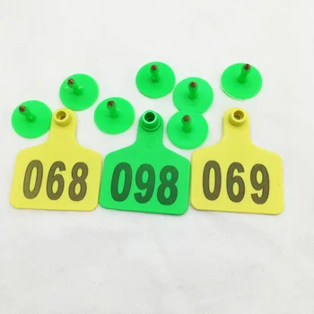 Farm Animal Identification Card Cow Cattle TPU001-2000 Ear Tag Signs With Word Dairy Cattle Ear Tags Typing Copper Head Earring
Farm Animal Identification Card Cow Cattle TPU001-2000 Ear Tag Signs With Word Dairy Cattle Ear Tags Typing Copper Head Earring