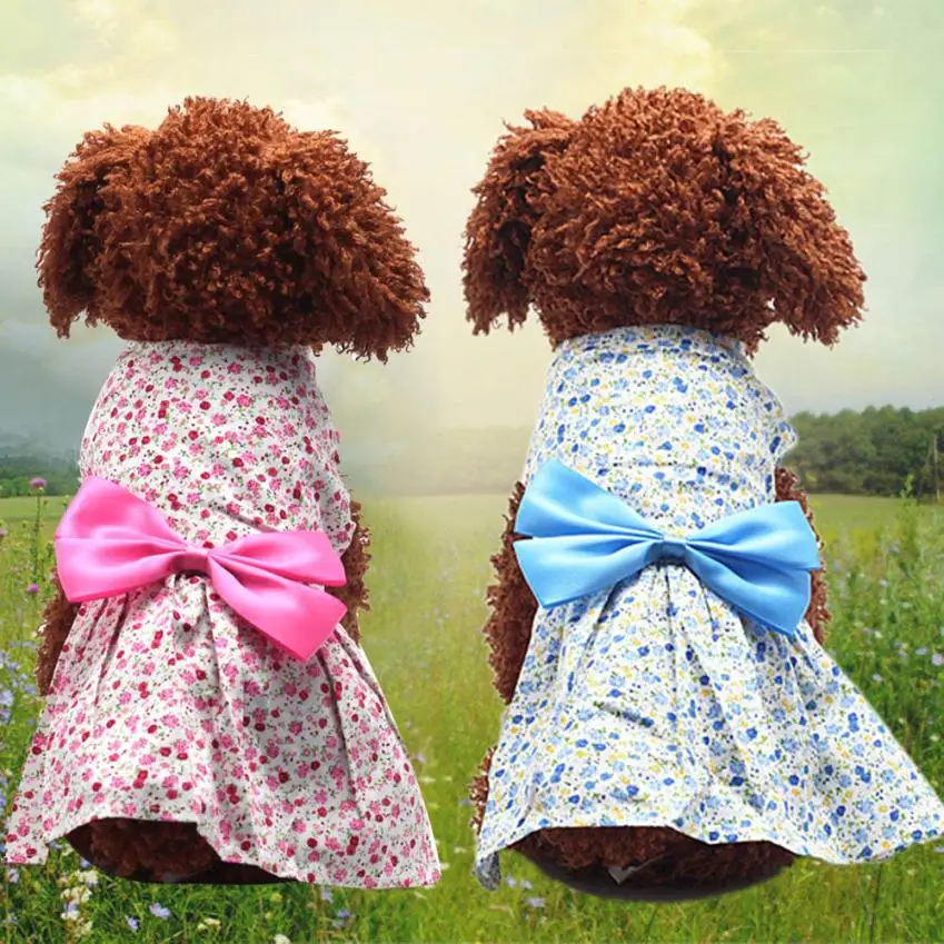 Smart Cool Fashion Dog Autumn Wear Bow Design Dress Printer Flower Soft Pet Lovely Clothing Dog Clothes For Small Dogs Manteau
Smart Cool Fashion Dog Autumn Wear Bow Design Dress Printer Flower Soft Pet Lovely Clothing Dog Clothes For Small Dogs Manteau