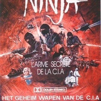 The Ninja Mission Movie Poster (11 x 17)