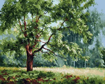 Unframe diy picture oil paintings by numbers paint by number for home decor canvas painting 5065cm green tree
Unframe diy picture oil paintings by numbers paint by number for home decor canvas painting 5065cm green tree