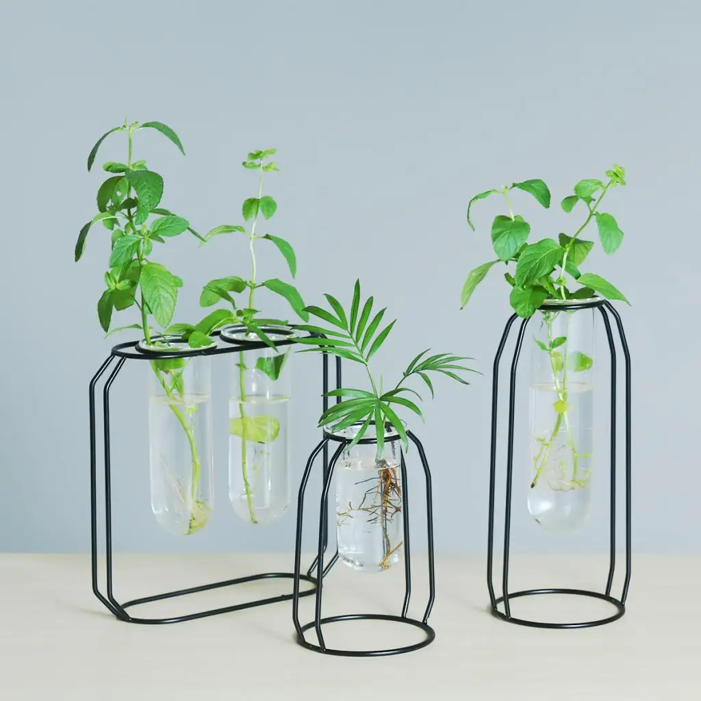 Glass Hydroponic Plant Water Flower Vase with Iron Stand for DIY Art Decoration Creative Gifts