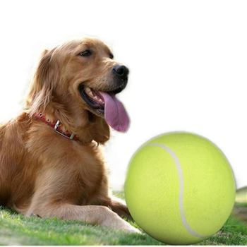 Interactive Toy Dog 1 PC 24CM Giant Tennis Ball For Pet ChewToy Big Inflatable Supplies Outdoor Toys Sporty Wholesale 40JA01
Interactive Toy Dog 1 PC 24CM Giant Tennis Ball For Pet ChewToy Big Inflatable Supplies Outdoor Toys Sporty Wholesale 40JA01