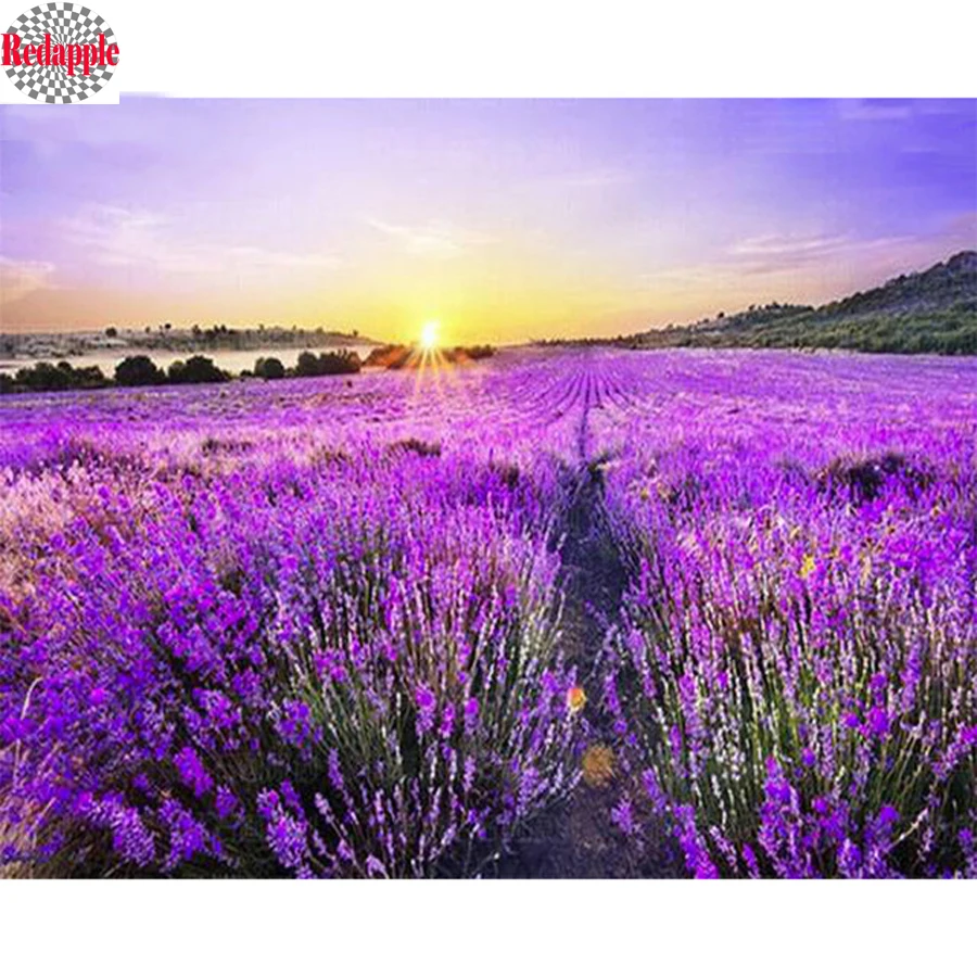 Lavender fields scenery 5D DIY diamond painting cross stitch diamond embroidery mosaic landscape 3d picture by number rhinestone
Lavender fields scenery 5D DIY diamond painting cross stitch diamond embroidery mosaic landscape 3d picture by number rhinestone