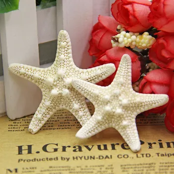 

3pcs Mediterranean Style Aquarium Natural Craft Shell Artificial Sea Star Fish Tankeco Ornaments Wedding Party Home Dration