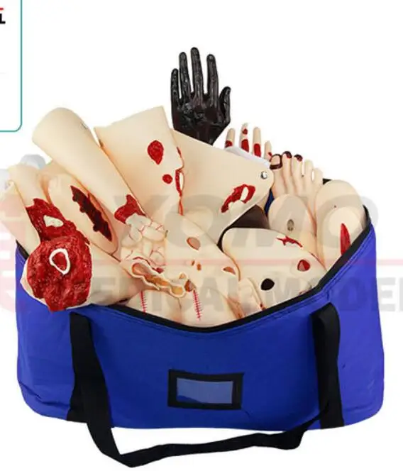 15 pcs Trauma evaluation module Emergency care Medical first aid simulation Trauma model teaching equipment
15 pcs Trauma evaluation module Emergency care Medical first aid simulation Trauma model teaching equipment