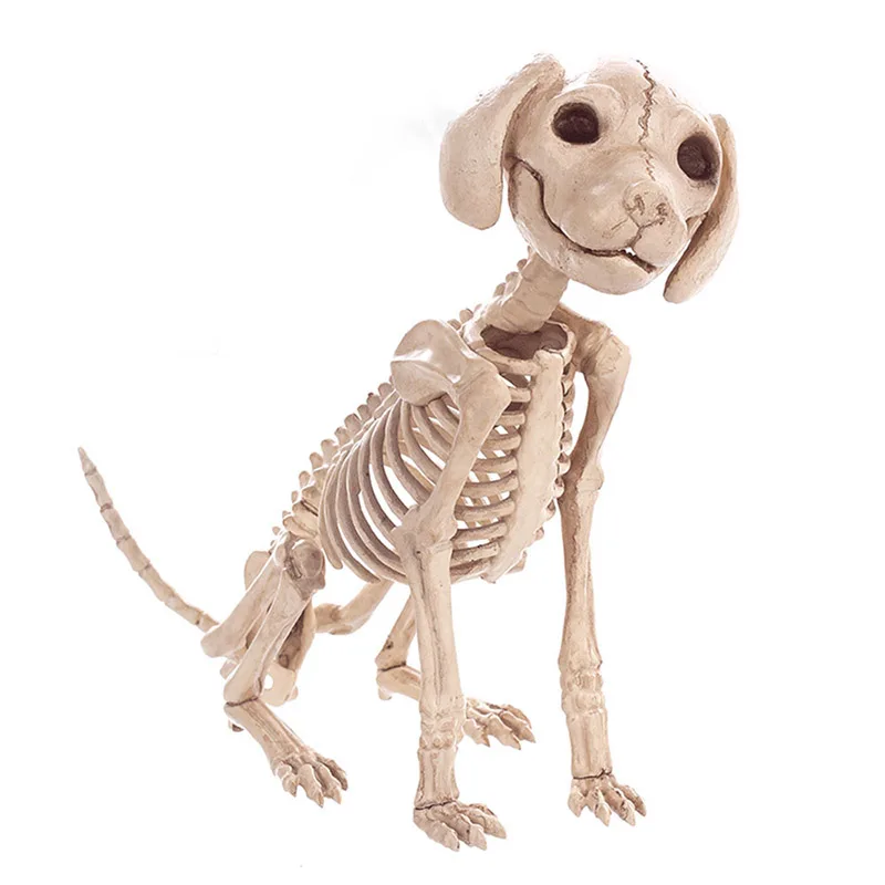 Cosplay&ware Animals Skeleton Halloween Decoration Mouse Dog Cat Skull Bone Ornaments Hallowmas Horror Haunted Party 15 Cosplay&ware Animals Skeleton Halloween Decoration Mouse Dog Cat Skull Bone Ornaments Hallowmas Horror Haunted Party -Cosplayware Store HTB1w4FMKr5YBuNjSspoq6zeNFXaD.jpg