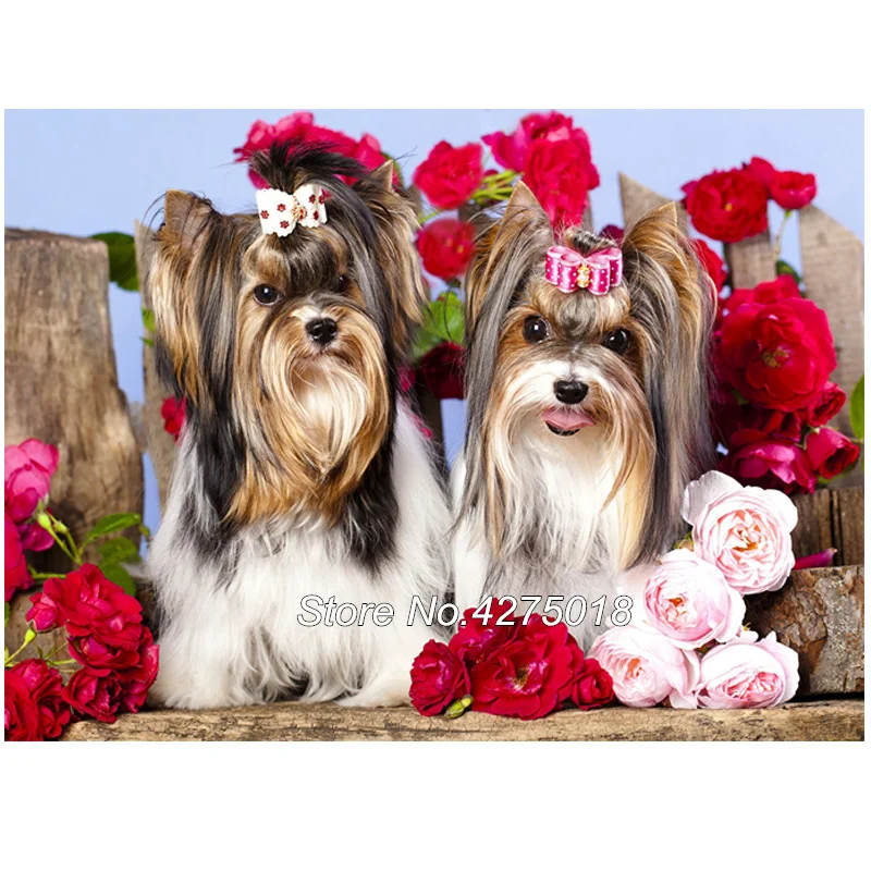 Full Square Diamond Embroidery DIY Diamond Painting Cross Stitch Kits Yorkshire Terrier pet dog 5D Drill Mosaic Home Decor YG398
Full Square Diamond Embroidery DIY Diamond Painting Cross Stitch Kits Yorkshire Terrier pet dog 5D Drill Mosaic Home Decor YG398